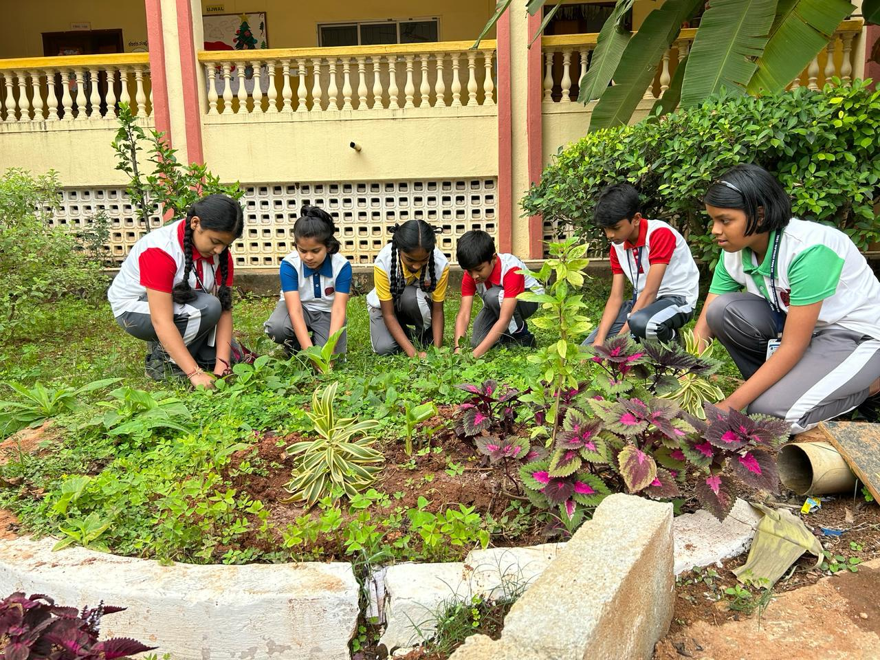 Education Support